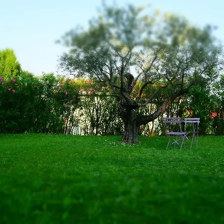 Piccolo Principe Verona 3*
